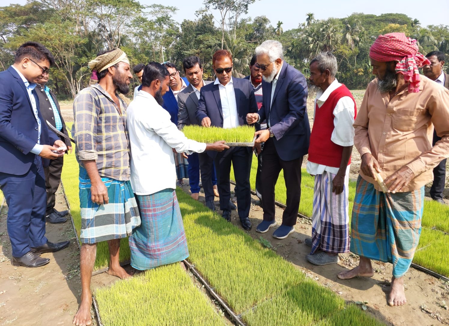 সমলয় প্রদর্শনী