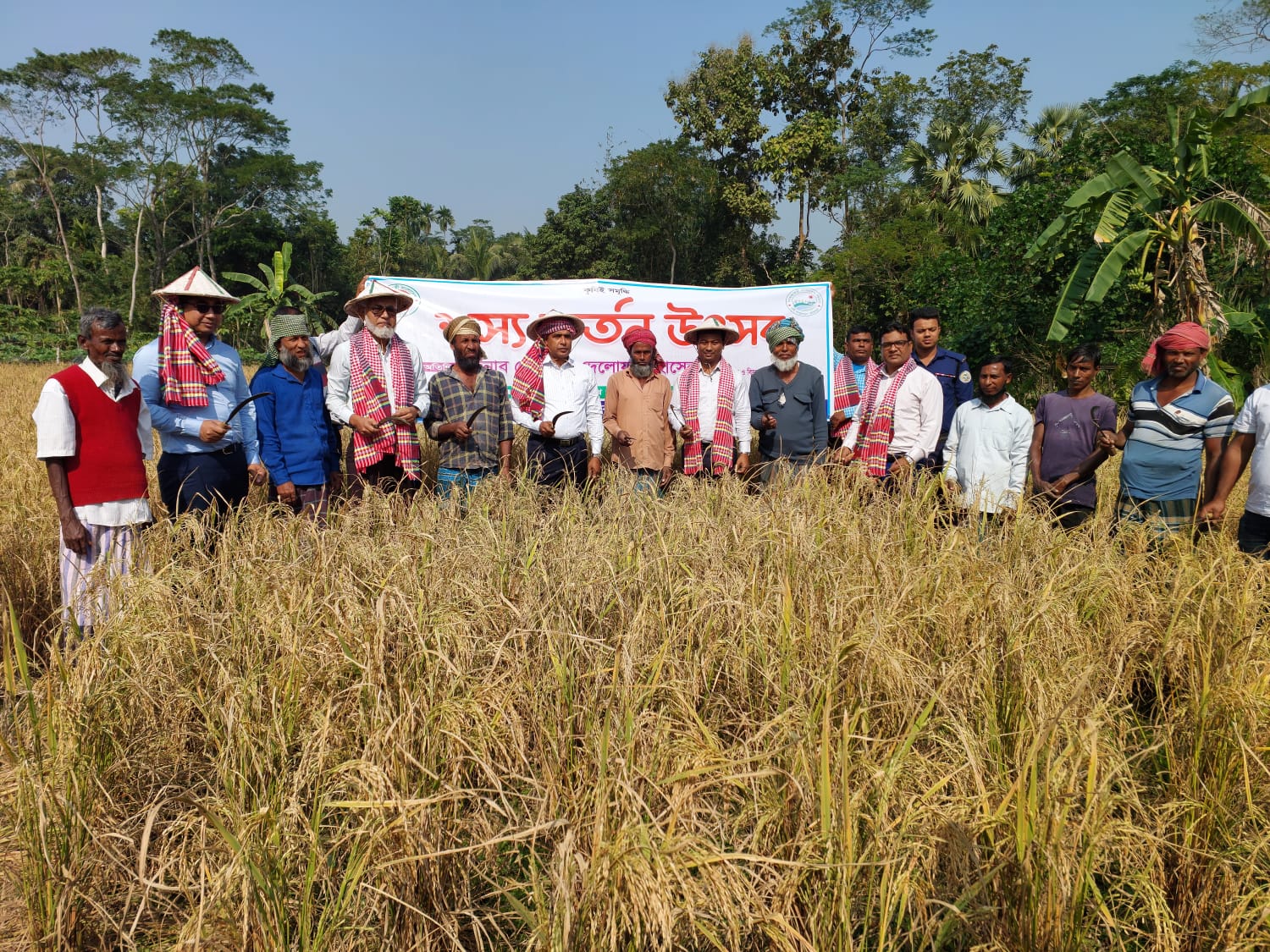 শস্য কর্তন উৎসব