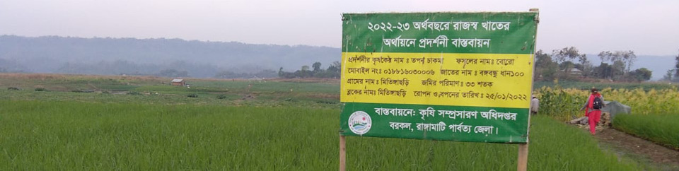 ধান- খরিপ ১