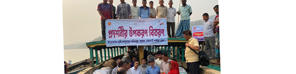 পারিবারিক পুষ্টি বাগান