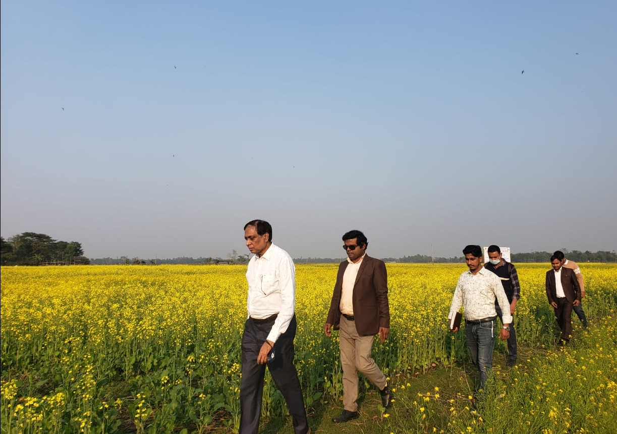 বড়লেখা উপজেলায় সরিষার মাঠ পরিদর্শন করেন কৃষিবিদ কাজী লুৎফুল বারী, উপপরিচালক, ডিএই, মৌলভীবাজার