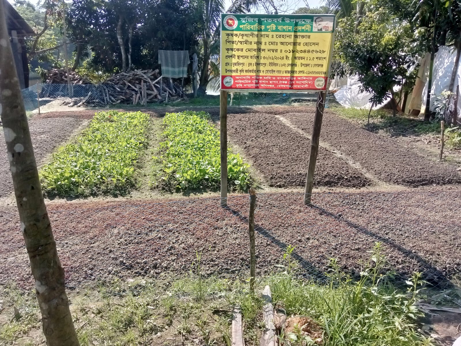 অনাবাদি পতিত জমি ও বসতবাড়ীর আঙ্গিনায় পারিবারিক পুষ্টি বাগান স্থাপন প্রকল্পের আওতায় স্থাপিত প্রদর্শনী