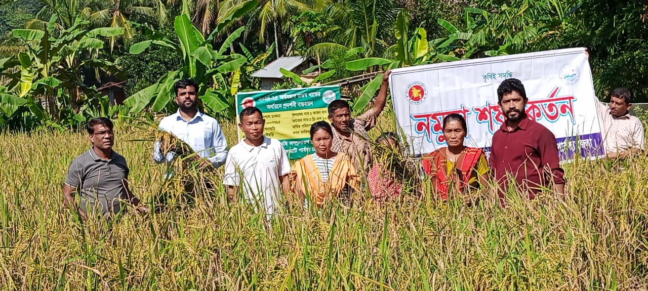 নমুনা শস্য কর্তন