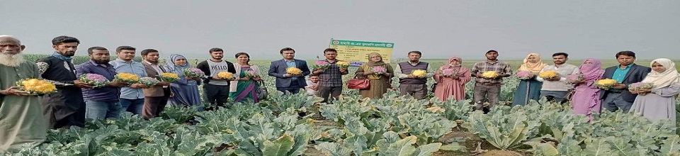কৃষি সম্প্রসারণ অধিদপ্তর-২