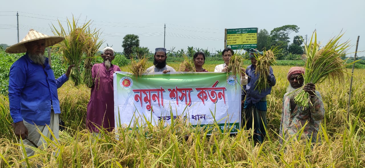 উপজেলা কৃষি অফিস, নমুনা শস্য কর্তন, ভাংগা, ফরিদপুর,