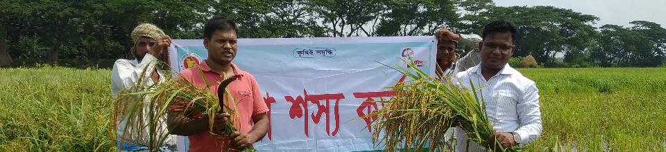 ফসলের নমুনা সংগ্রহ