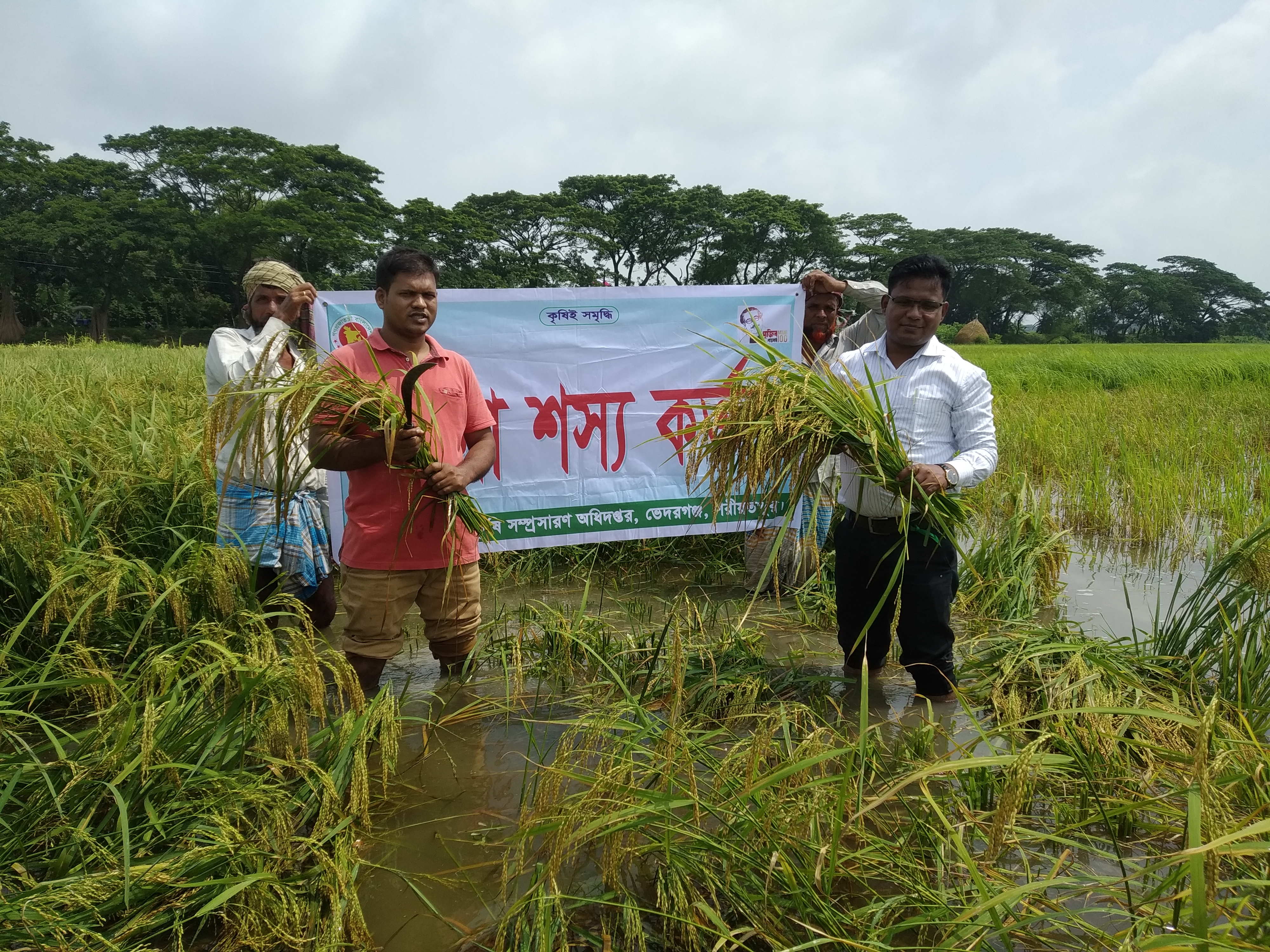 ফসলের নমুনা সংগ্রহ