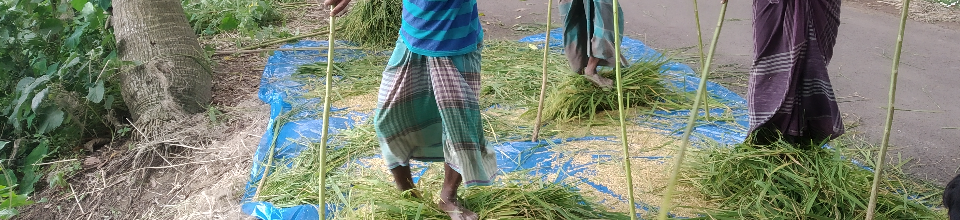 ফসল মাড়াই