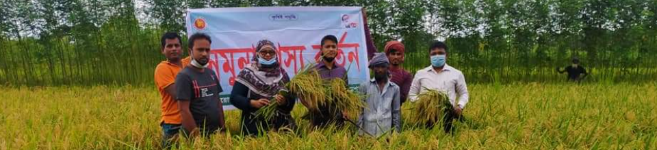 ফসলের নমুনা সংগ্রহ