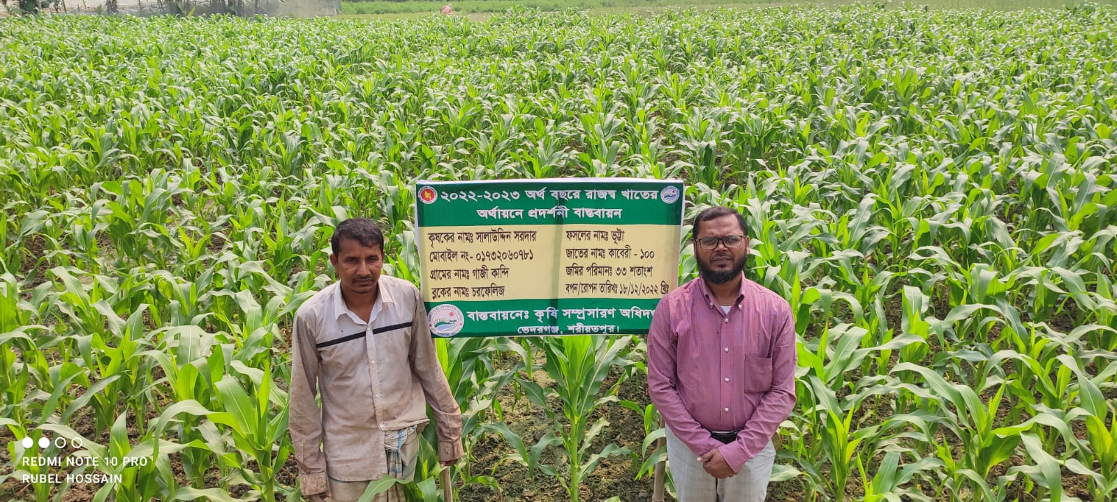 ভুট্টার মাঠ