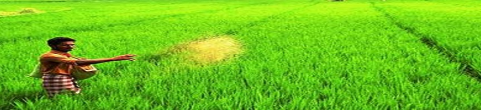 বাংলার কৃষক