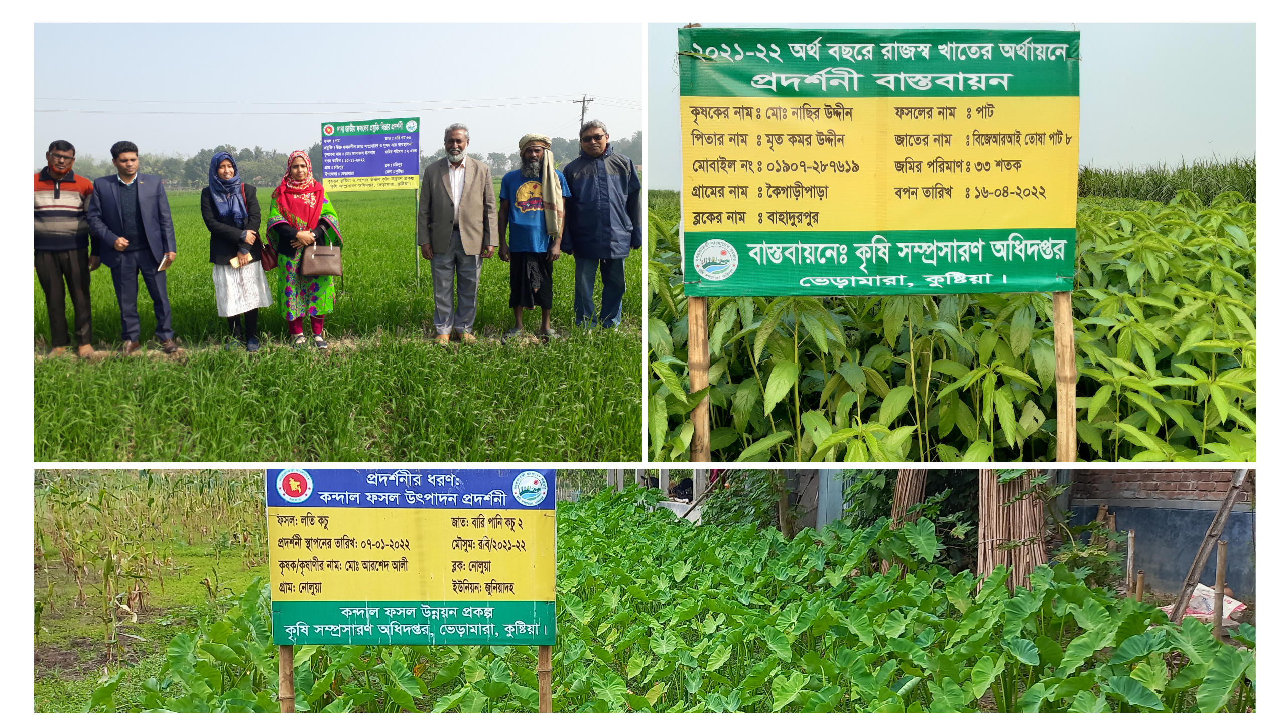 প্রদর্শনী