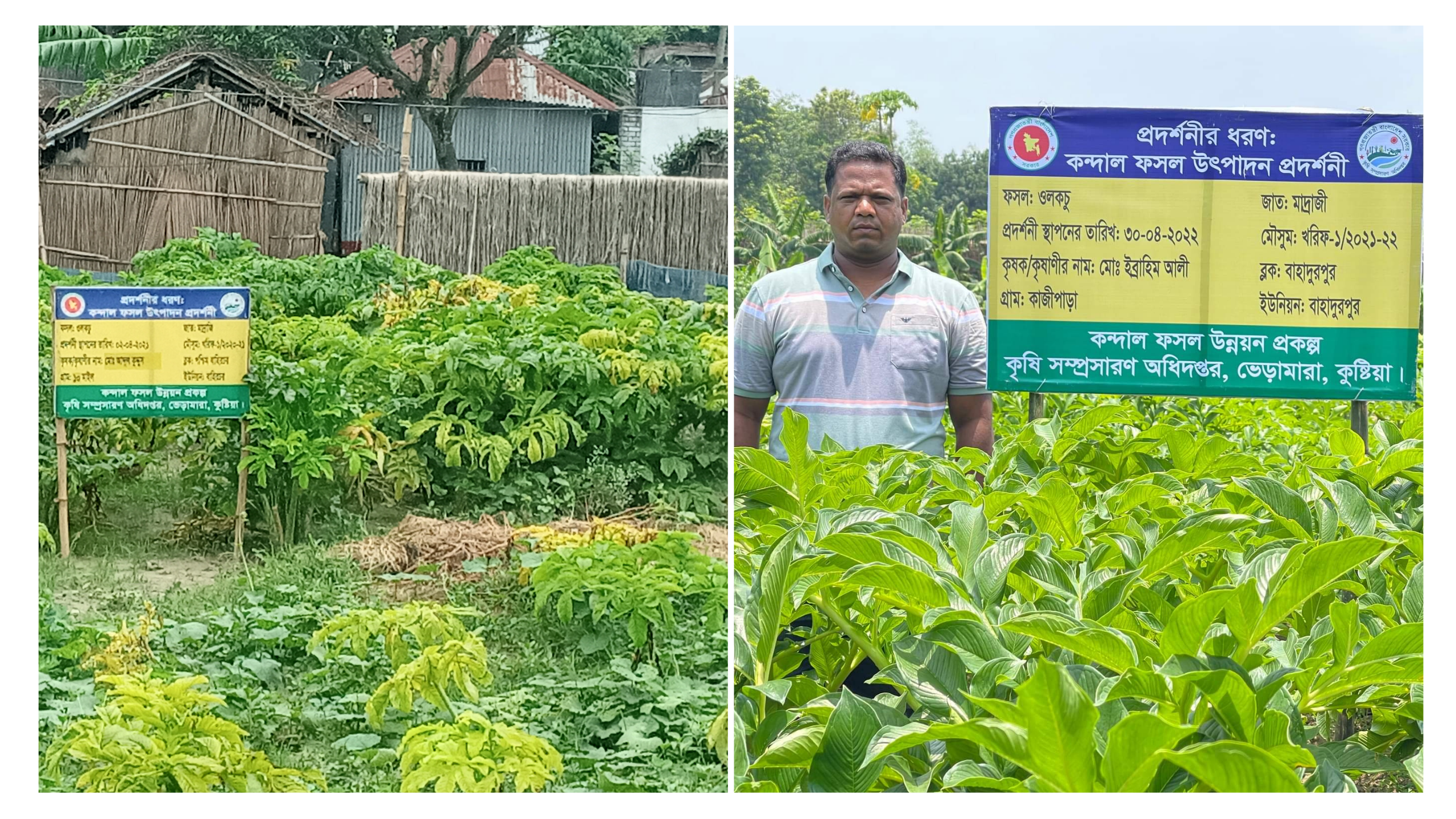 প্রদর্শনী 1