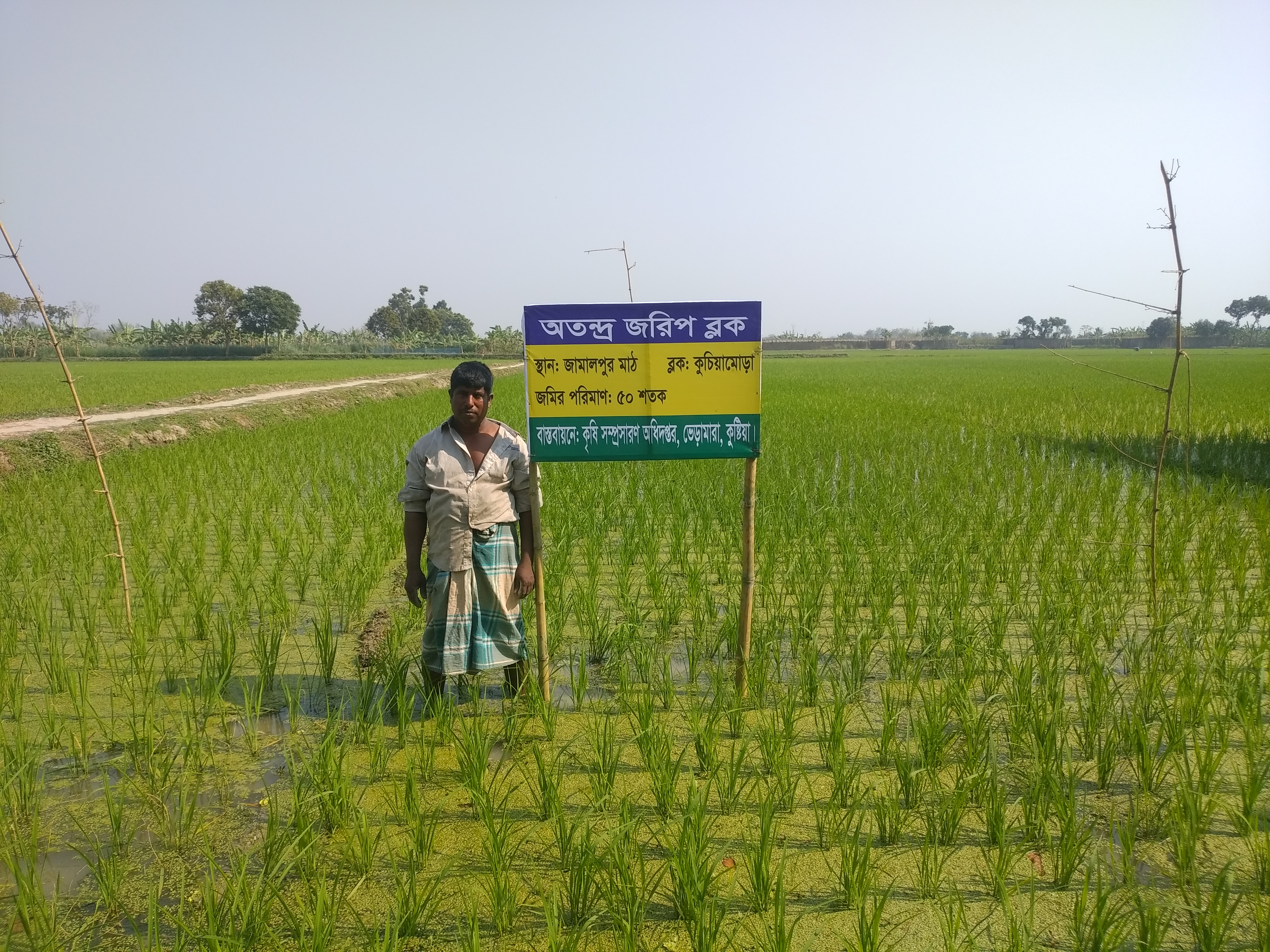 অতন্দ্র জরিপ