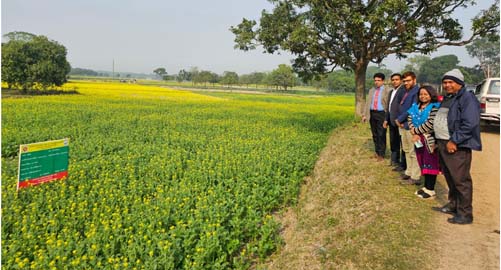 ব্যানার 3