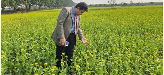 ব্যানার 2