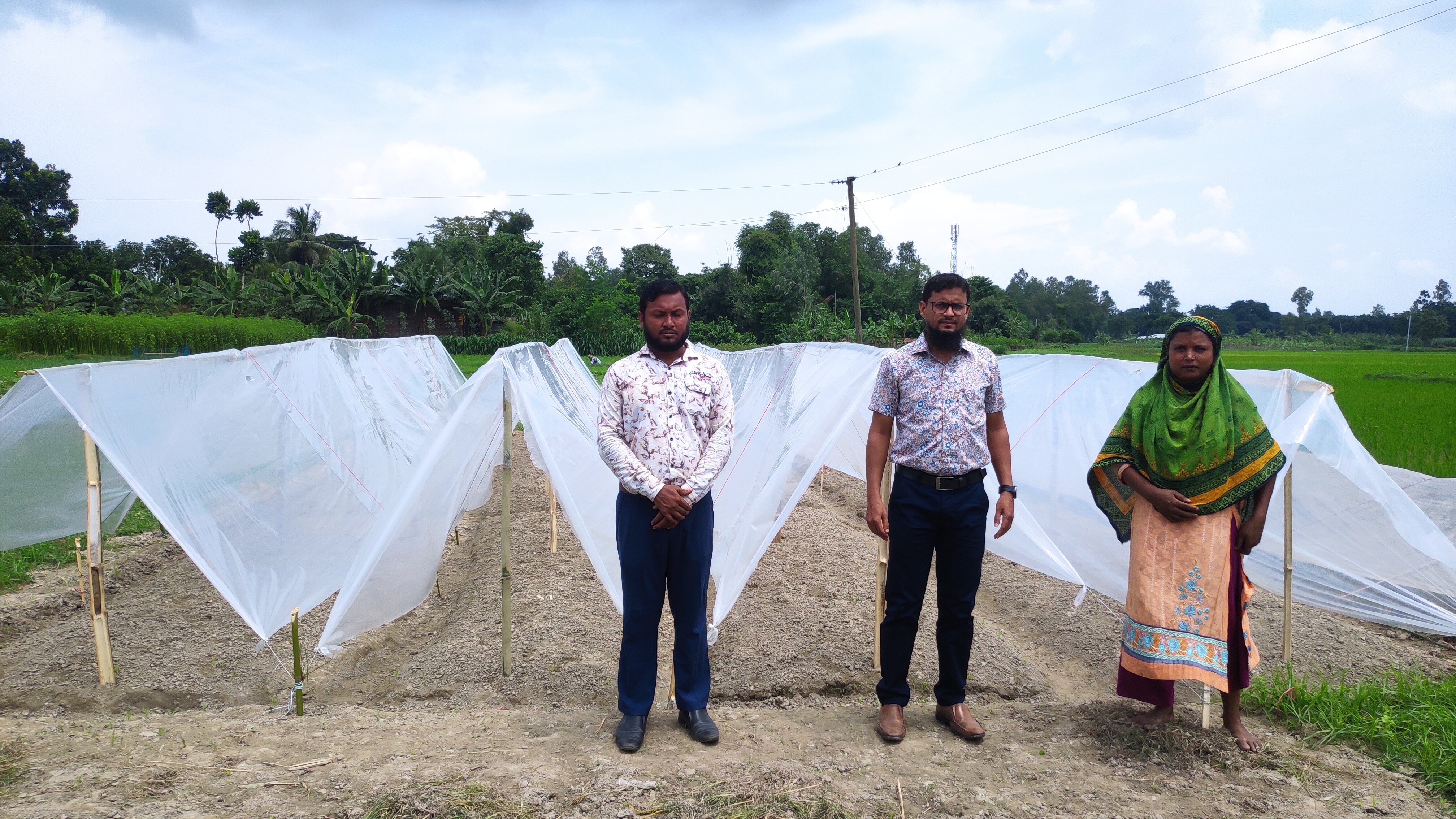 গ্রীষ্মকালীন পেঁয়াজ প্রণোদনা