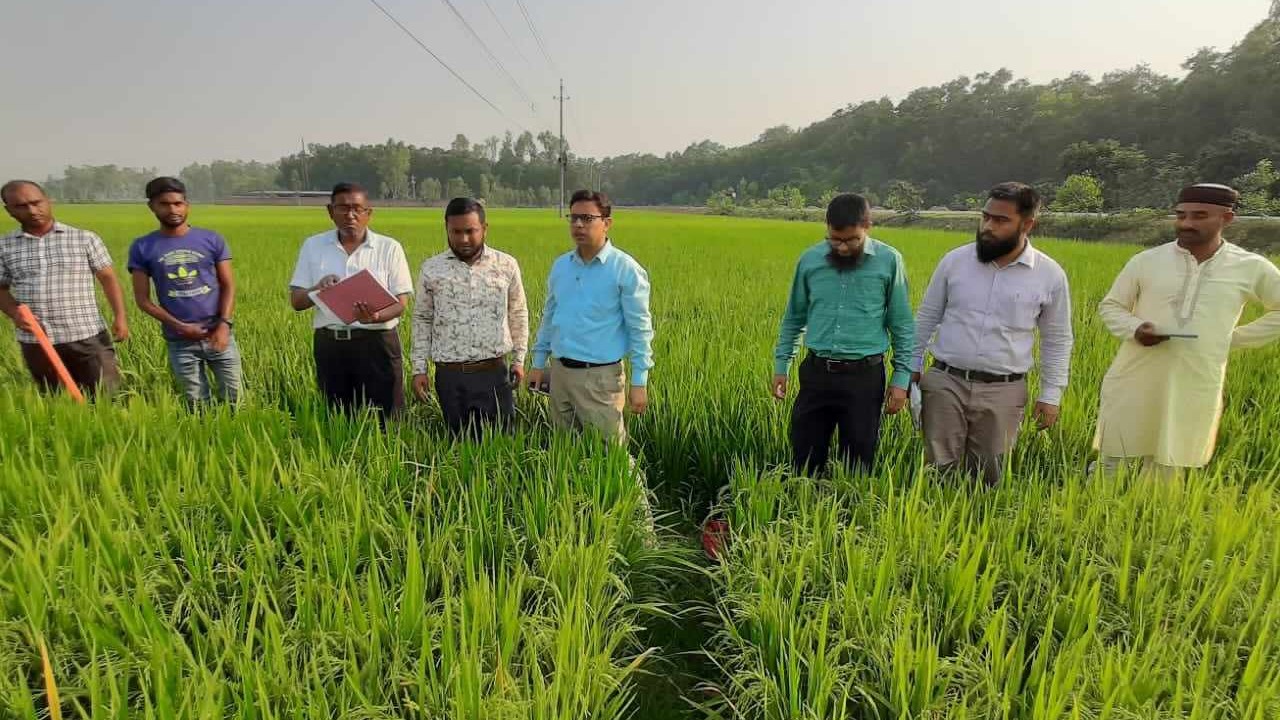 কৃষি ছবি