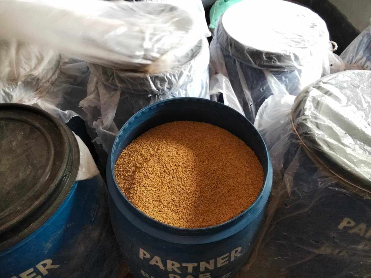 পাটনার প্রকল্প