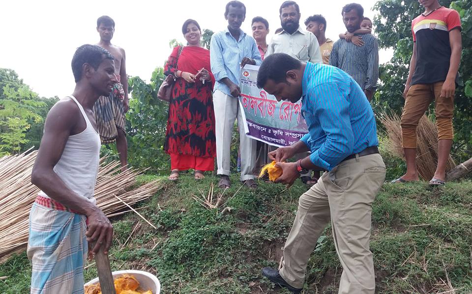 তালবীজ রোপন কর্মসূচী ২০১৭