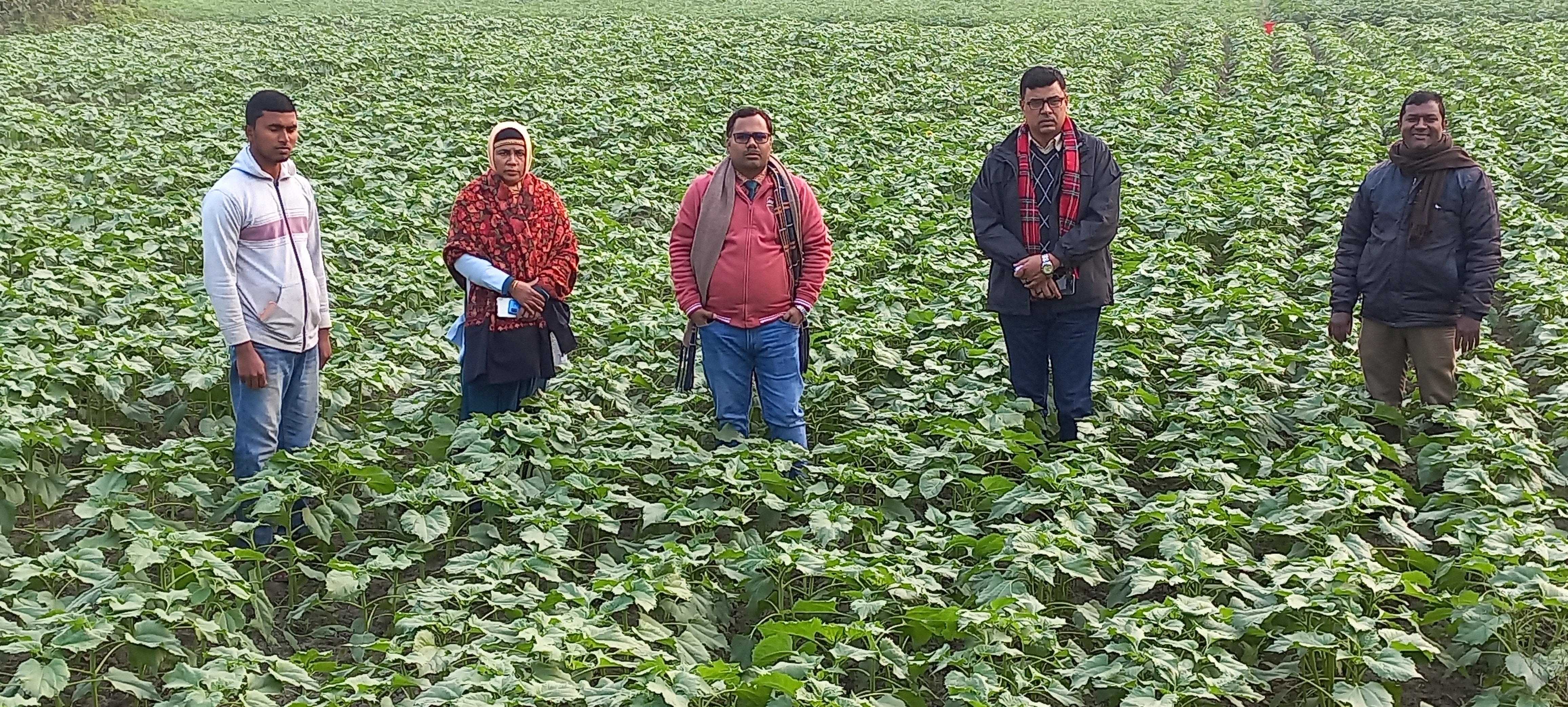 মাঠ কার্যক্রম পরিদর্শন