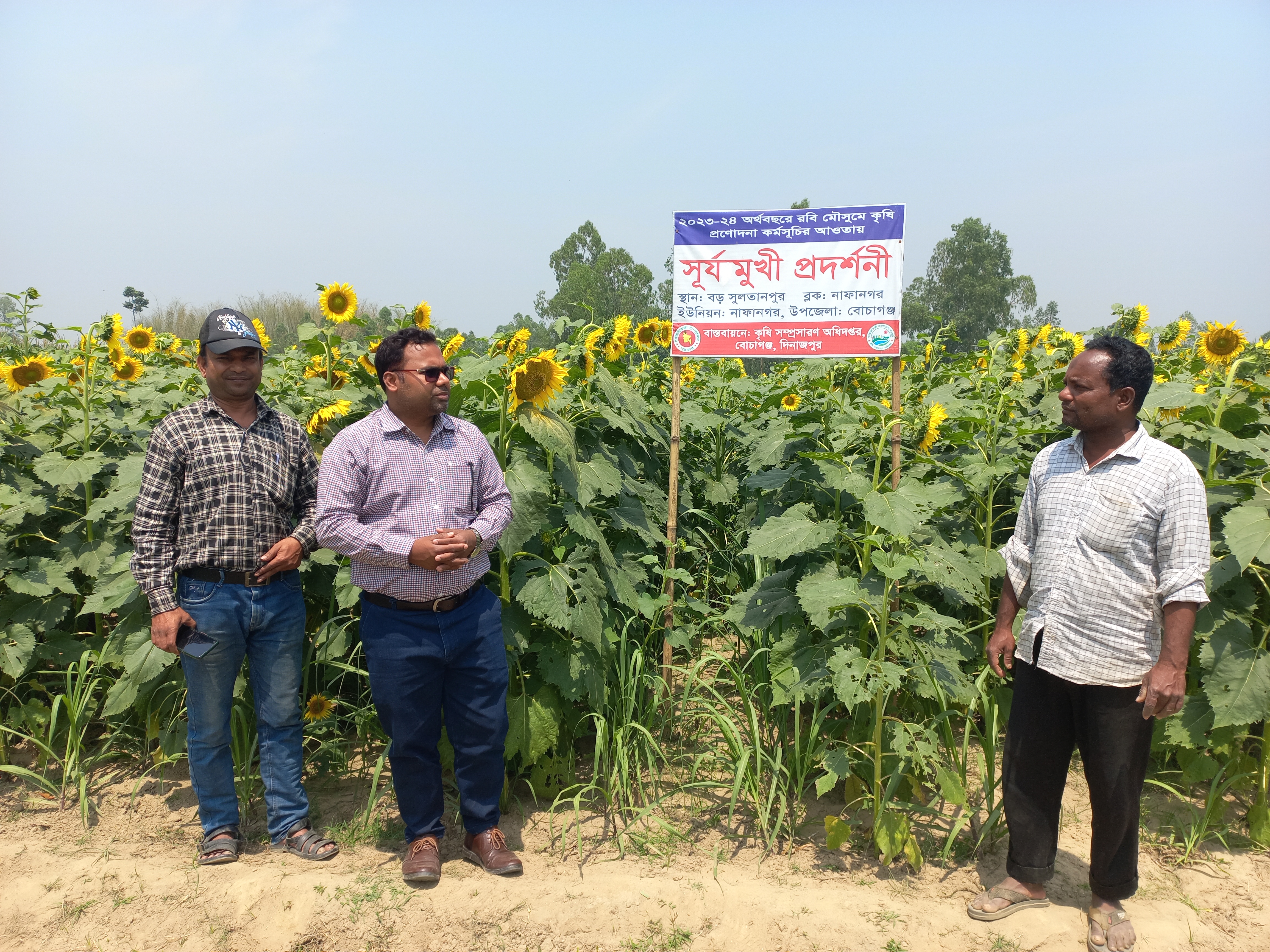 প্রণোদনা সূর্যমুখী ফসল পরিদর্শন