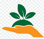 বিভিন্ন বাতায়ন