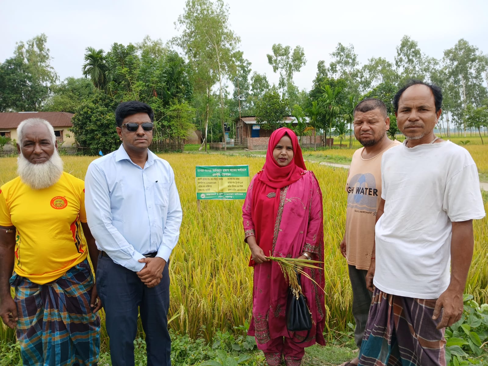 রাজস্ব প্রদর্শনী