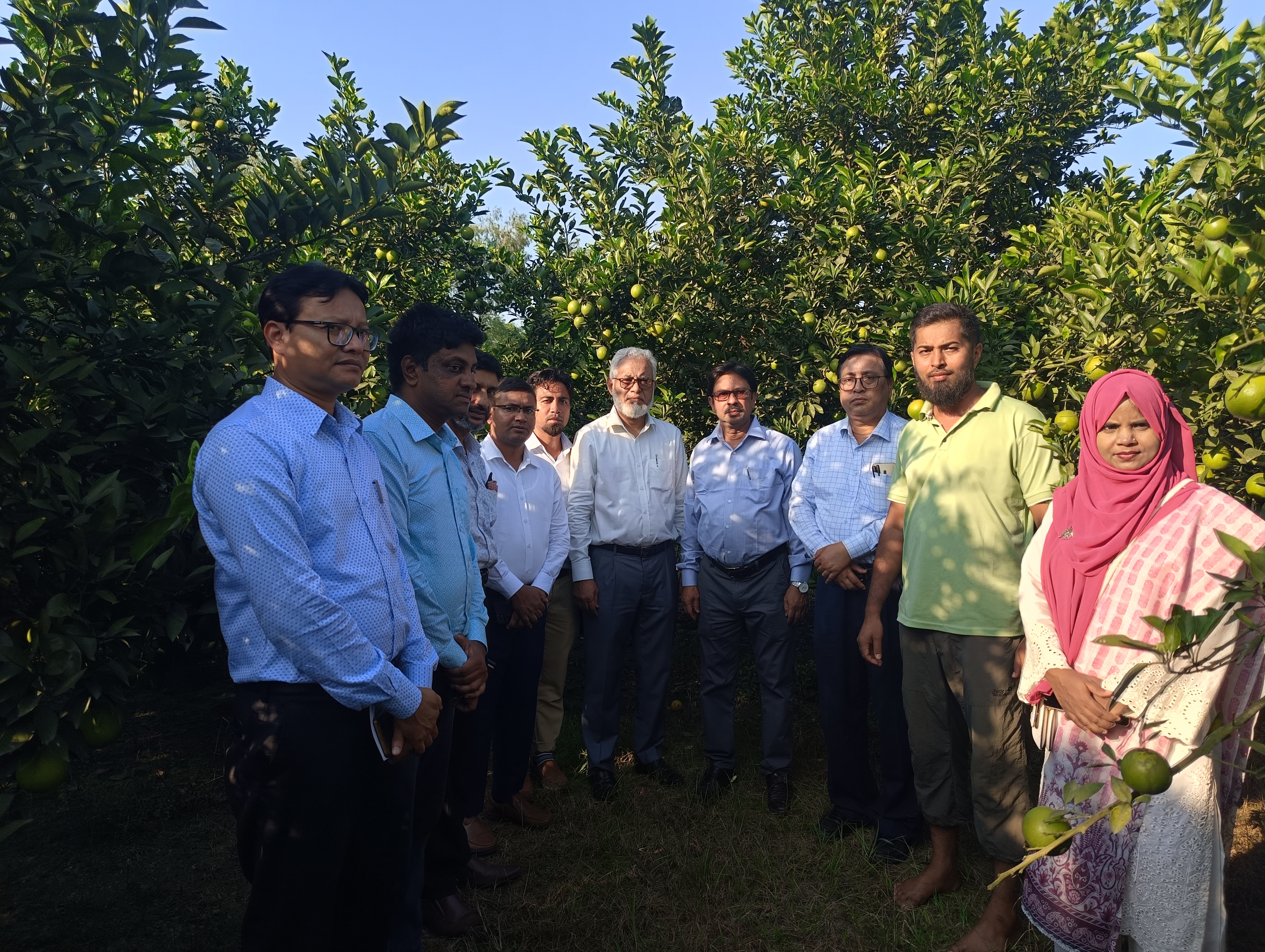 বোদা উপজেলায় মাল্টা চাষ