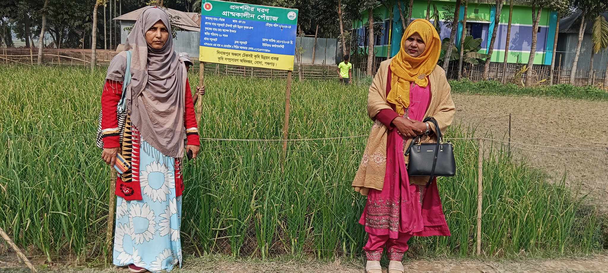 গ্রীষ্মকালীন প্রদর্শনীর প্রদর্শনীর চিত্র