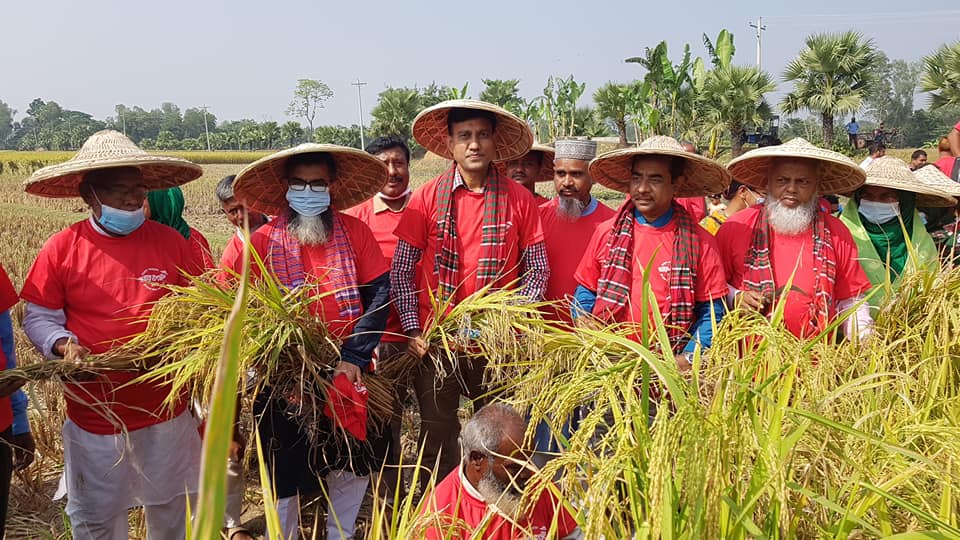 নমুনা শস্য কর্তন উদ্বোধন কর্মসূচী