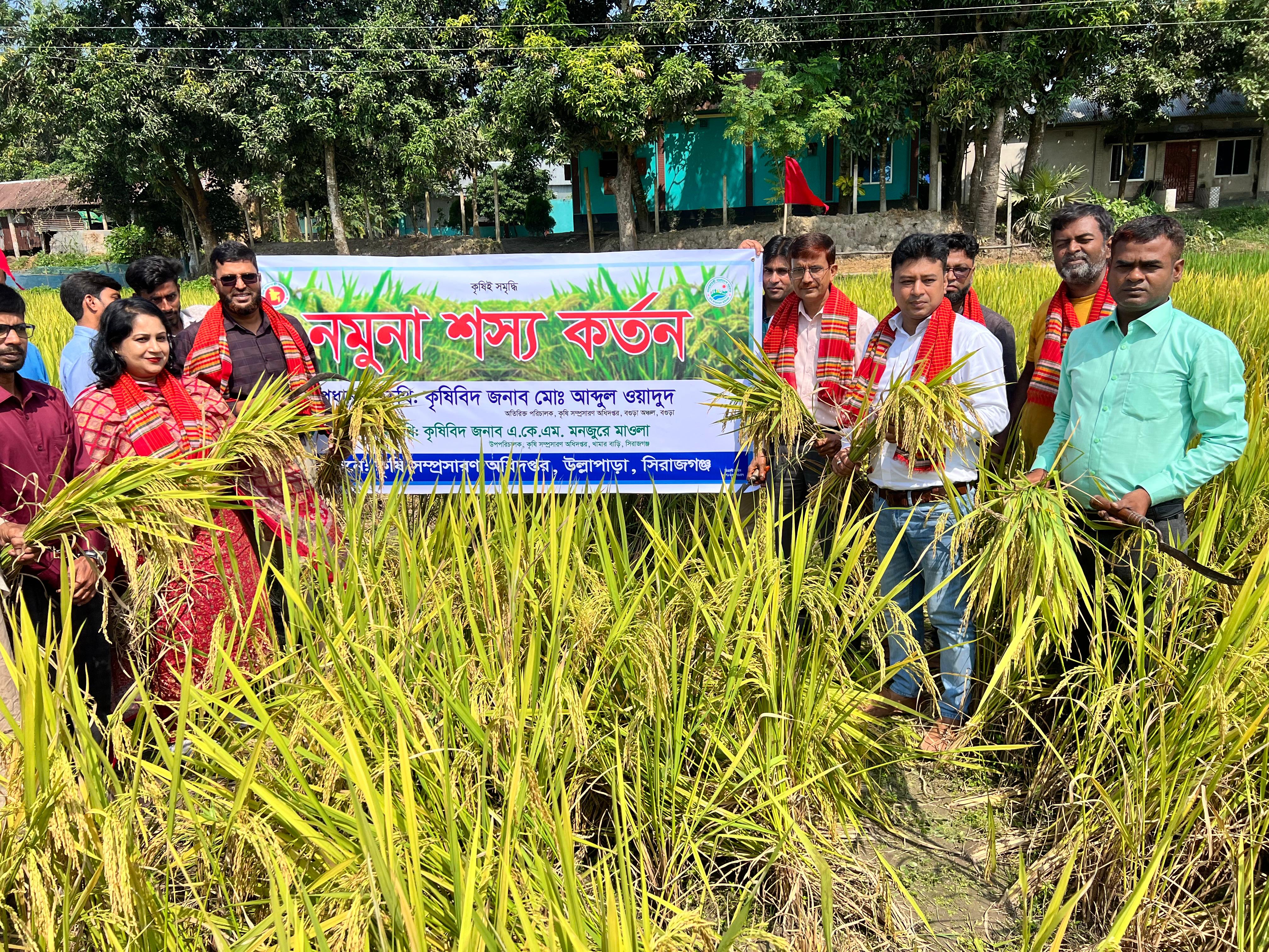 নমুনা শস্য কর্তন