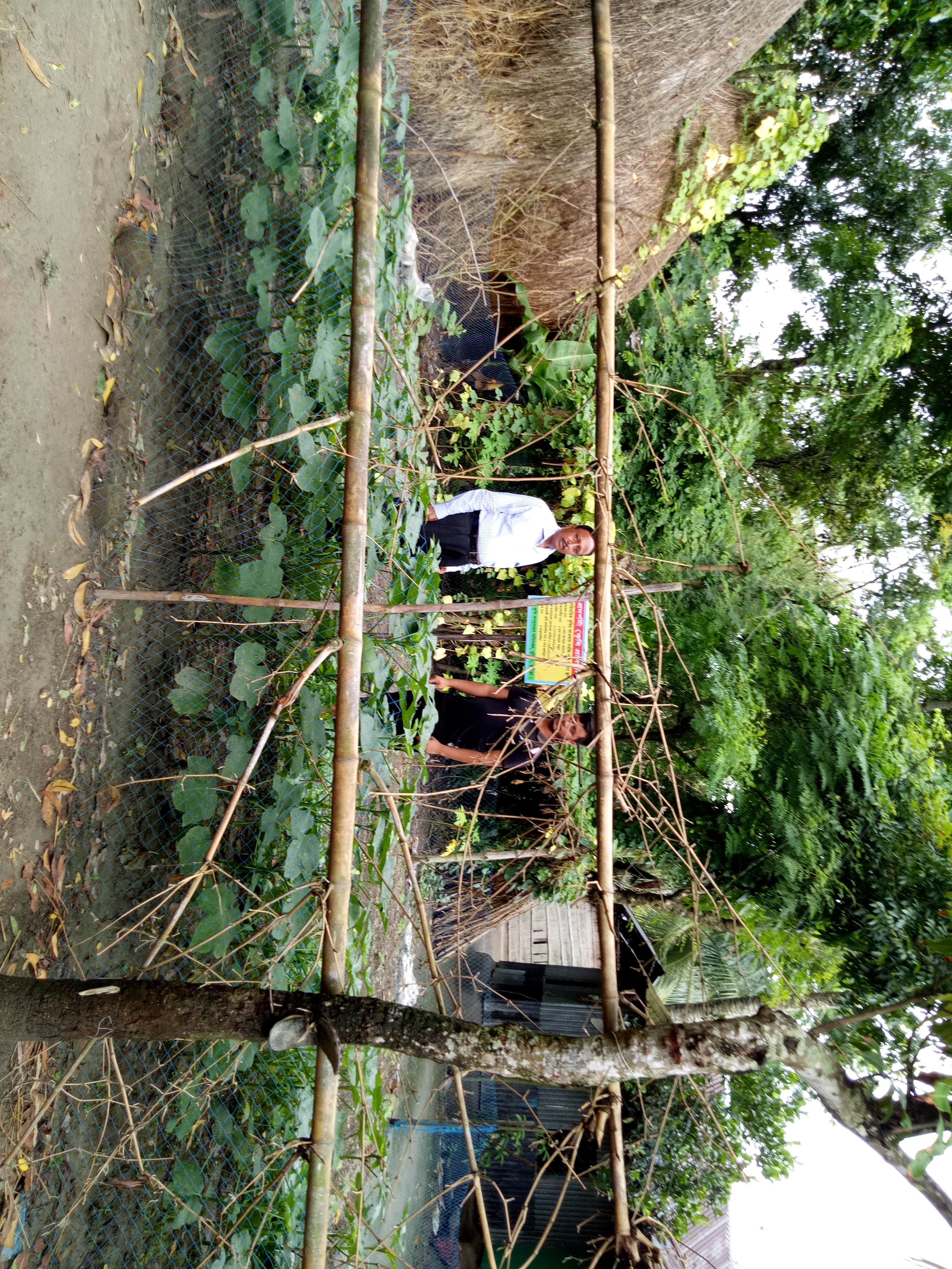 পারিবারিক সব্জি পুষ্টি বাগান