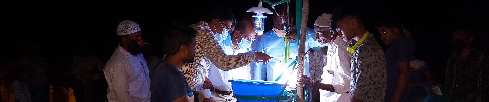 সোলার লাইট ট্র্যাপের মাধ্যমে উপকারি ও অপকারি পোকা সণাক্তকরণ