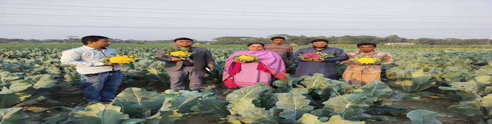 রঙ্গিন ফুলকপি