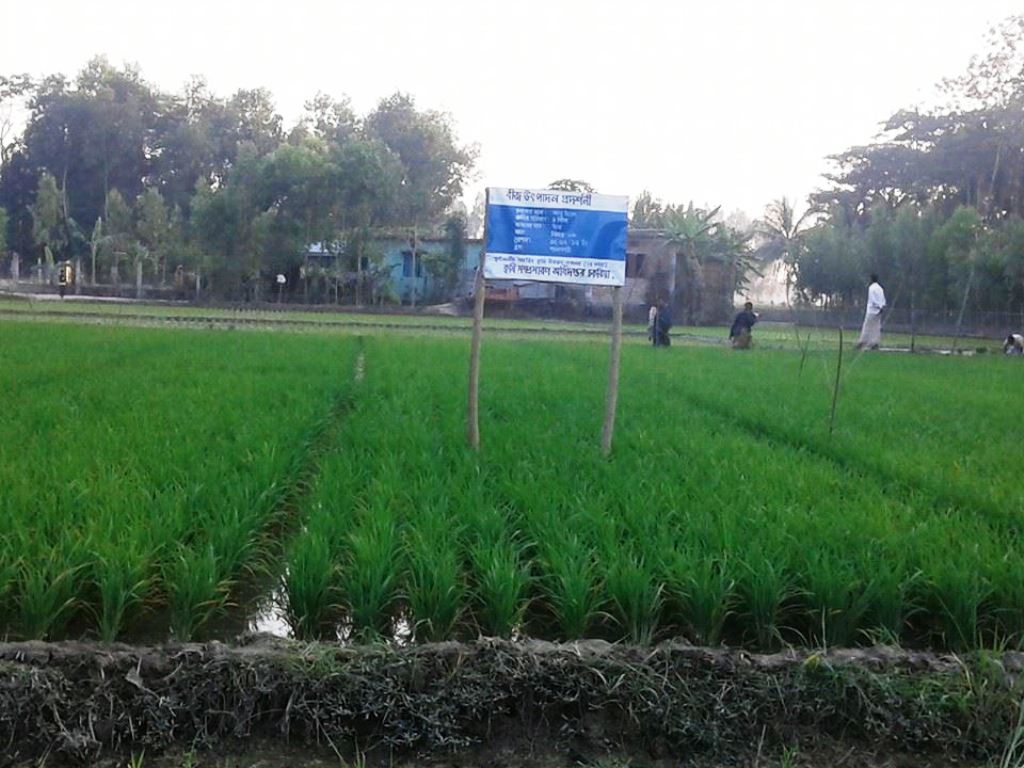 পূর্বাঞ্চলীয় সমন্বিত কৃষি উন্নয়ন (2য় পর্যায়) প্রকল্প এর প্রদর্শনী