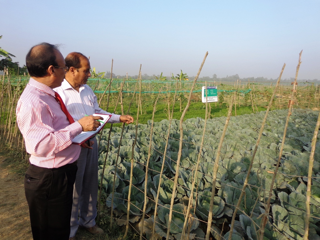 ই-সেবা কেন্দ্র, জেলা প্রশাসন