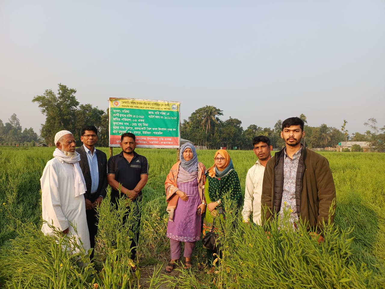 চকরিয়াতে তেল জাতীয় ফসল সরিষার আবাদ