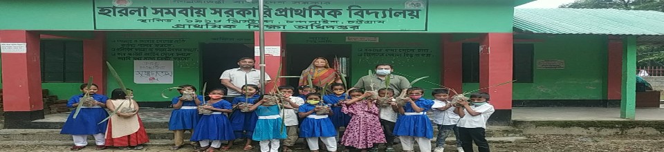 তালের চারা বিতরন ২