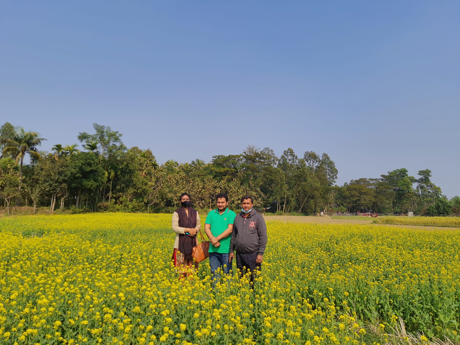 সরিষা প্রদর্শনী প্লট