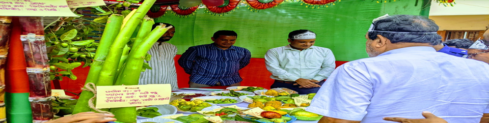 কন্দাল ফসল উন্নয়ন প্রকল্পের আওতায় কৃষি মেলা-২০২৪