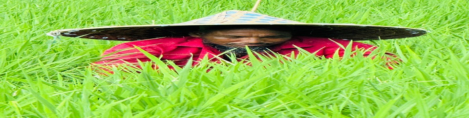 ফসলের জমি থেকে আগাছা পরিষ্কারকরণ