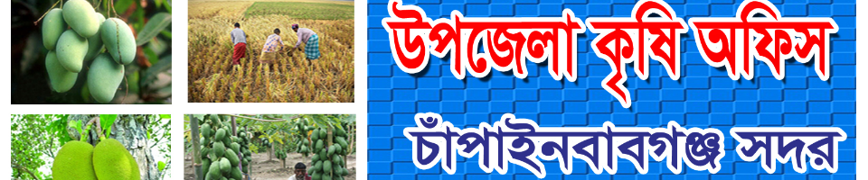 উপজেলা কৃষি অফিস চাঁপাইনবাবগঞ্জ সদর