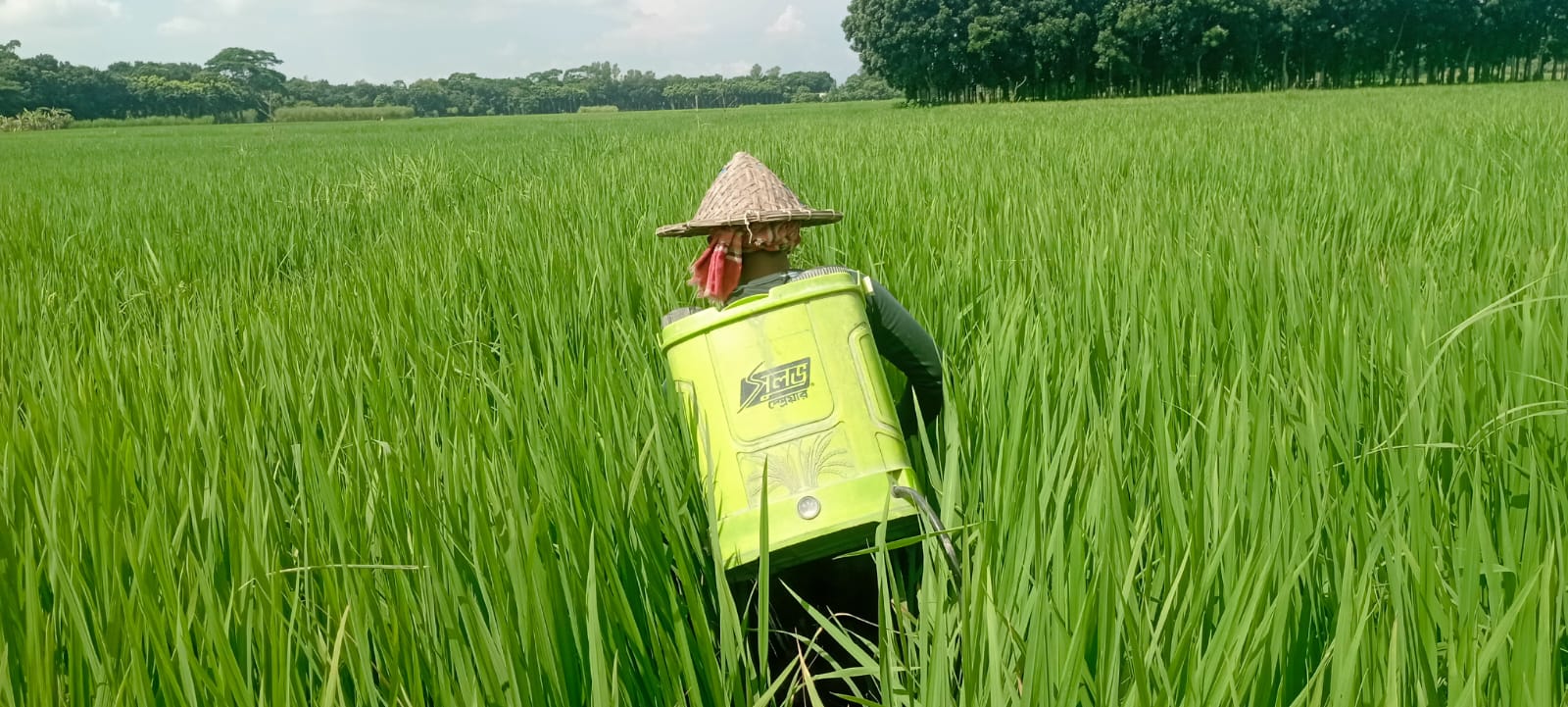 প্রদর্শনী