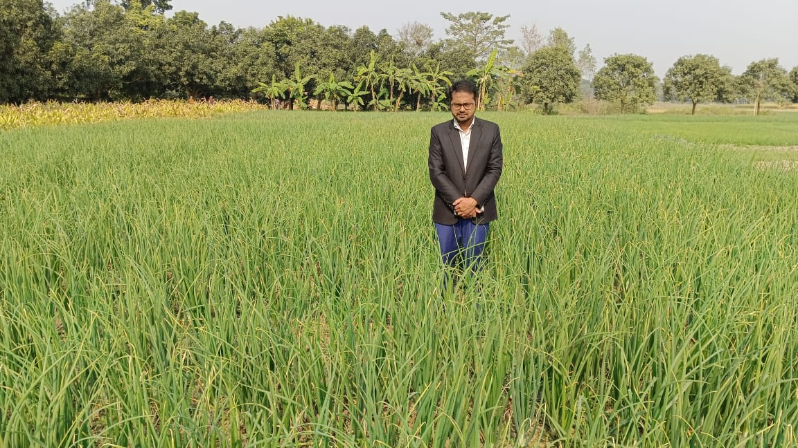 গ্রীষ্মকালীন পেঁয়াজ