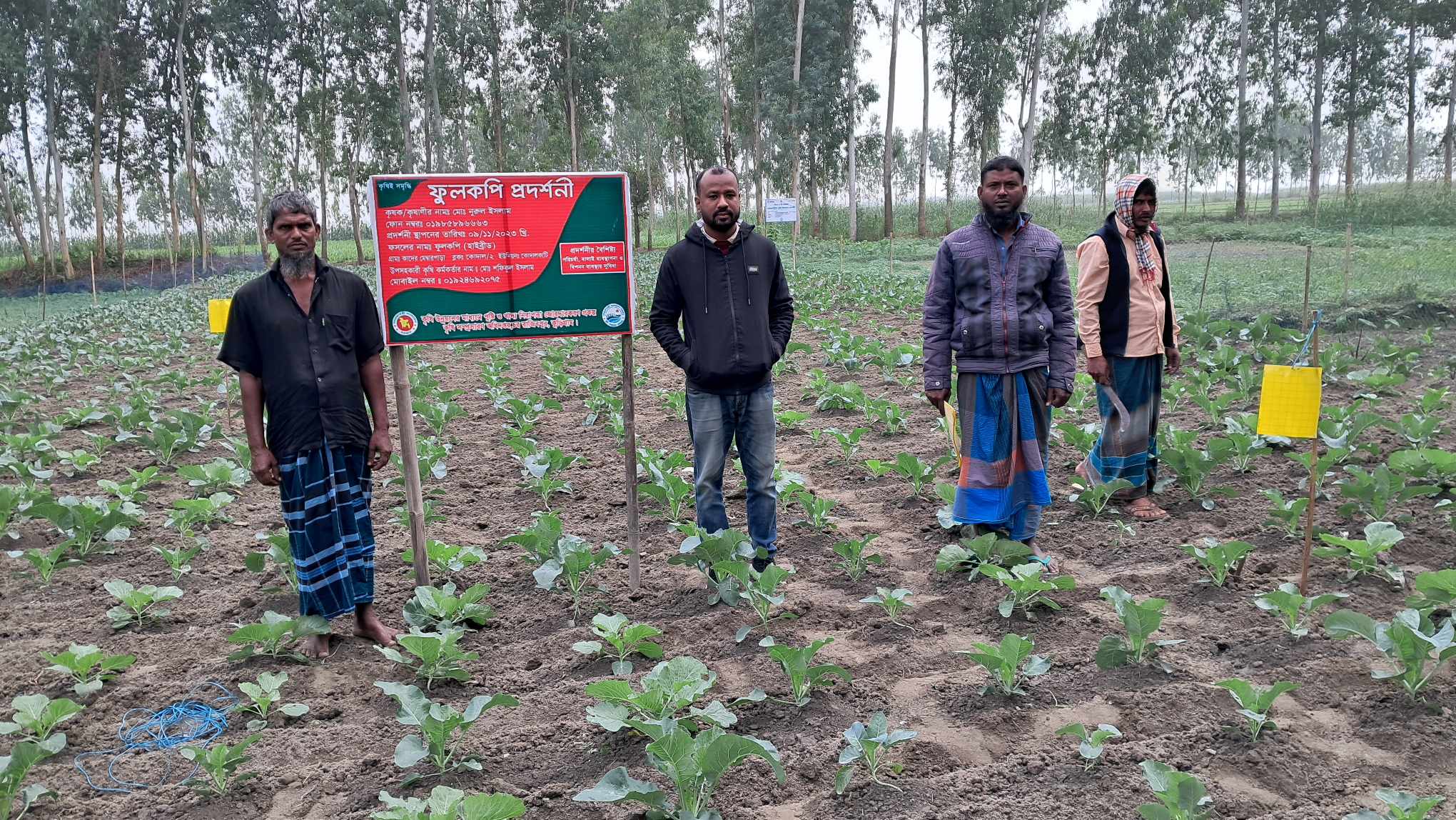 বিভিন্ন প্রদর্শনী কার্যক্রম
