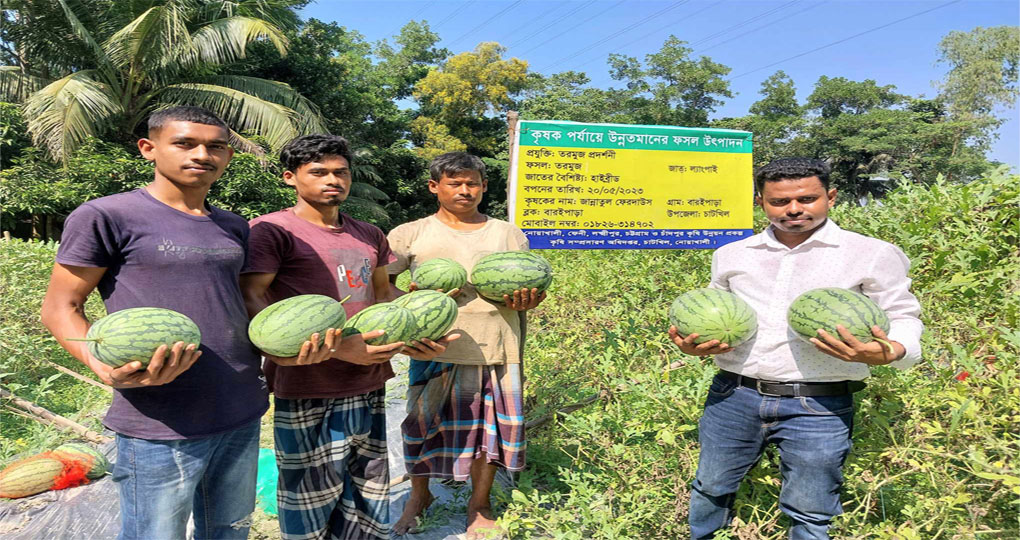 তরমুজ প্রদর্শনী