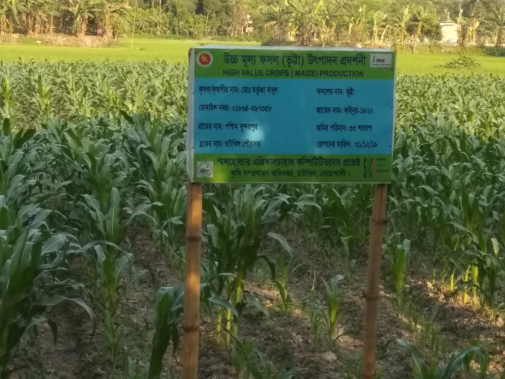 ই-সেবা কেন্দ্র, জেলা প্রশাসন