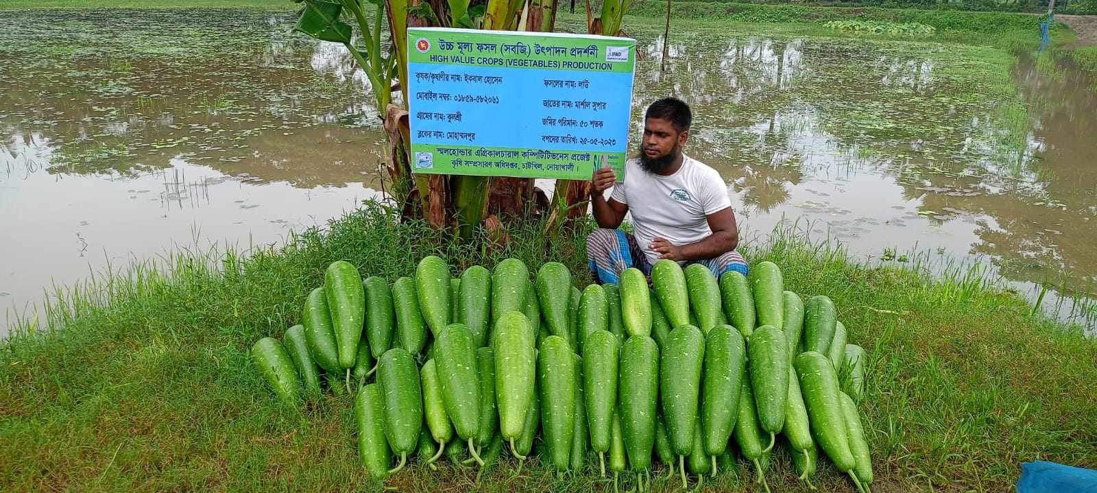 লাউ প্রদর্শনী