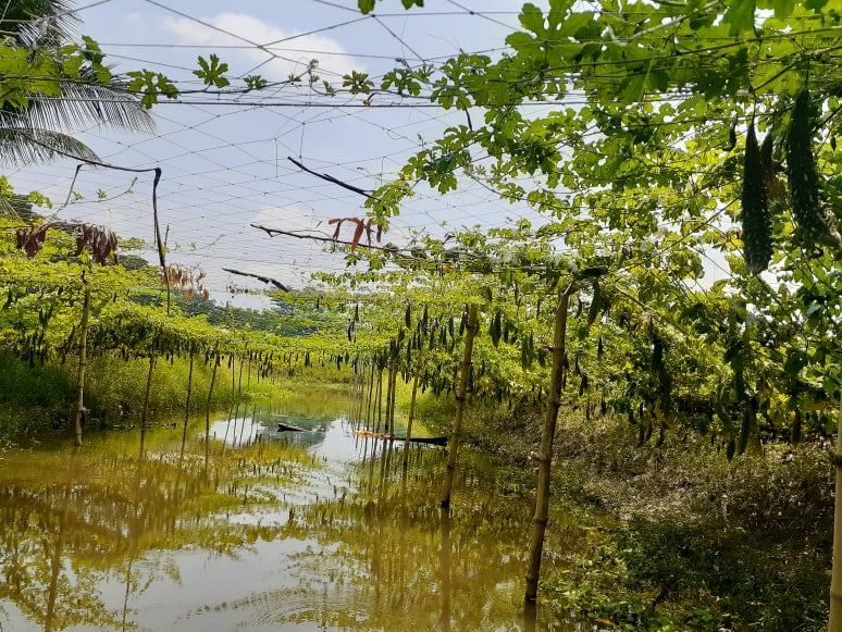 ই-সেবা কেন্দ্র, জেলা প্রশাসন